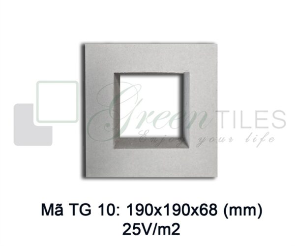 TG10 - Gạch bông gió 19x19cm