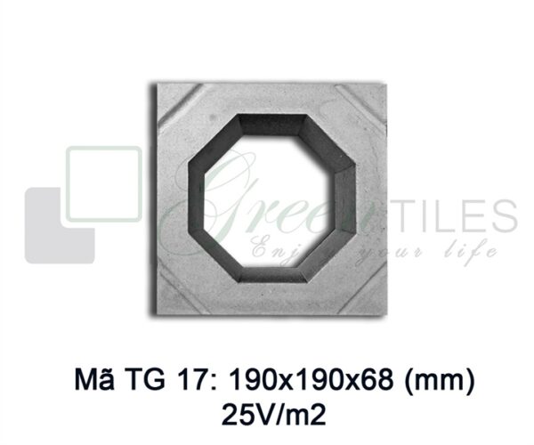 TG17 - Gạch bông gió 19x19cm