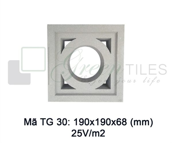 TG30 - Gạch bông gió 19x19cm